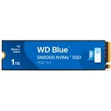 WD WDS100T4B0E, Unidad de estado sólido azul