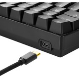 Sharkoon SGK50 S4 teclado USB QWERTY Inglés de EE. UU. Negro, Teclado para gaming negro, 60%, USB, QWERTY, LED RGB, Negro