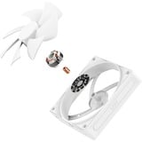 NZXT F120P, Ventilador blanco