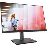 Lenovo P24q-30(D22238QP1), Monitor LED negro