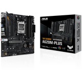 ASUS 90MB1EZ0-M0EAY0, Placa base 