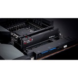 G.Skill F5-6000J3040G32GX2-FX5, Memoria RAM negro