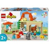 LEGO 10416, Juegos de construcción 