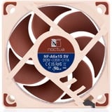 Noctua NF-A6x15 5V, Ventilador 