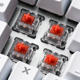 Sharkoon SKILLER SGK40, Teclado para gaming blanco