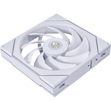 Lian Li 14TL1W, Ventilador blanco