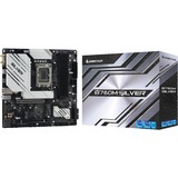 Biostar B760M-SILVER, Placa base negro/Plateado