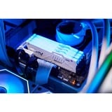 Kingston FURY KF556C40BWA-16, Memoria RAM blanco