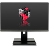 Acer 161151, Monitor LED gris oscuro