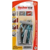 fischer SX 8x40 S K, Pasador gris claro