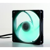 Scythe SU1225FD12HR-RNP, Ventilador negro/Transparente