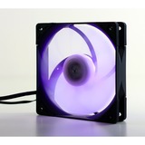 Scythe SU1225FD12HR-RNP, Ventilador negro/Transparente