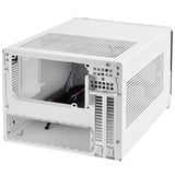 SilverStone SG13 Mini Tower Negro, Blanco, Caja cubo blanco/Negro, Mini Tower, PC, Negro, Blanco, Mini-ATX, Mini-DTX, Plástico, Acero, 6,1 cm