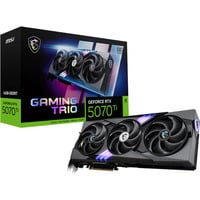 MSI V531-240R, Tarjeta gráfica